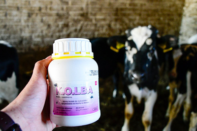 Kerbl-Kolba Insecticide voor vliegen - 500 ml