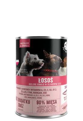 PetRepublic Gehakte Zalm in Fijne Saus 400g