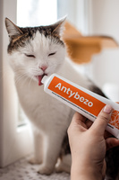 Lab-v Antibezo - pasta om het uitdrijven van haarballen uit het spijsverteringskanaal van de kat te vergemakkelijken en te voorkomen 100 g