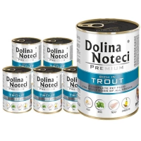 Dolina Noteci Premium Forel 24x400g
