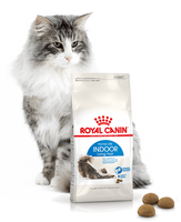 ROYAL CANIN Indoor Long Hair 10kg