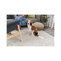 Trixie Beschermende Slipjes voor Teven Maat L