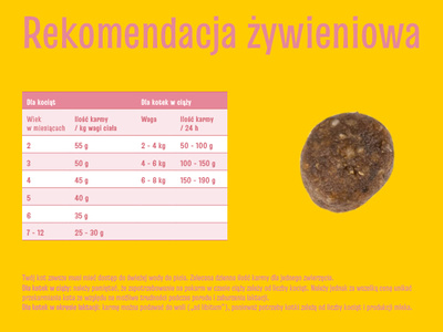 JOSERA JosiCat Kat 10kg