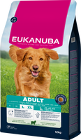 EUKANUBA Adult Grote rassen Lam&Rijst 12kg + VERRASSING VOOR UW HOND