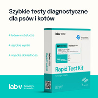 Lab-V CDV &amp; CAV &amp; CIV antigeen - Sneldiagnosetest voor honden 2 st.