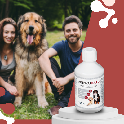 LAB-V Arthrohard 250ml Gewrichtsondersteunende formule voor hond en kat