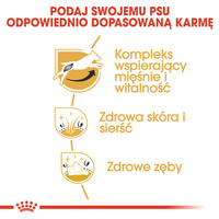 ROYAL CANIN Jack Russell Terrier Adult 7,5kg