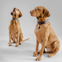 Inmoless Ultrasoon vlooien- en tekenbestrijdingsmiddel voor huisdieren Inmoless Pet - Geel