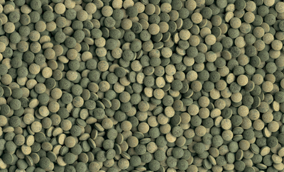 Tetra Pleco Tabletten 58 Tabletten