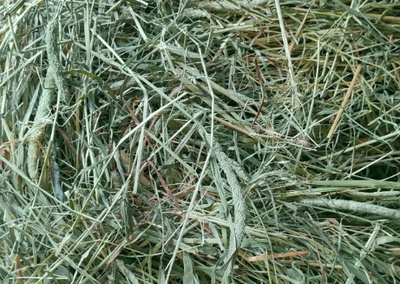 BUBU Huisdieren Klein Hooi 60l