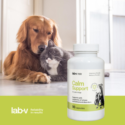 LAB-V Calm Support - Ondersteuning bij symptomen van stress en gedragsstoornissen 90 capsules