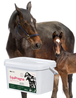 Lab-v EquiPregna - Aanvullend diervoeder voor drachtige en lacterende merries ter ondersteuning van de dracht, foetale ontwikkeling en melkproductie 2kg 