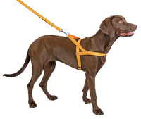 KERBL Reflecterend Harnas Noors 58cm