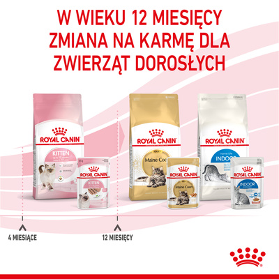 ROYAL CANIN Kitten Pate 12x85g