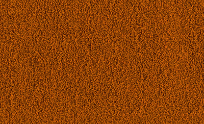 Tetra Betta Menu 100ml 