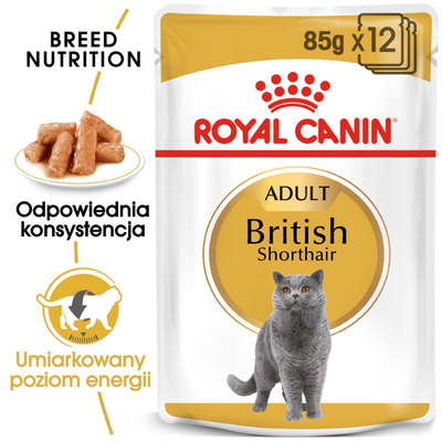 ROYAL CANIN British Shorthair Adult 12x85g 