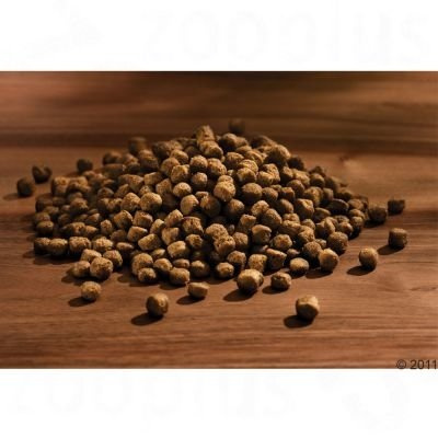 HappyDog Mini Volwassen 4kg