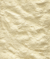 Versele-Laga NutriBird A21 Hand-voeder kuikens 3kg