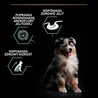 Purina Pro Plan Medium Puppy Sensitive Optidigest Lamb & Rice 12kg 