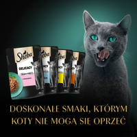 Sheba Fine Flakes In Jelly Sachet 4x85g