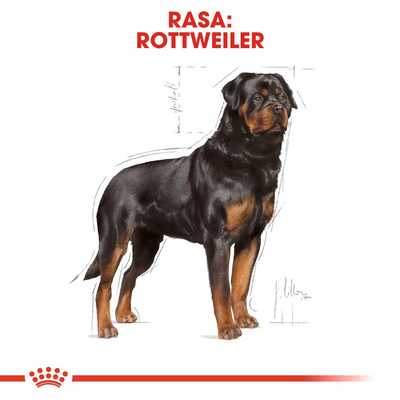 ROYAL CANIN Rottweiler Adult 12kg 