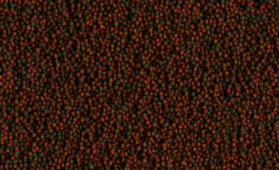  Tetra Cichlide Algen 500ml 