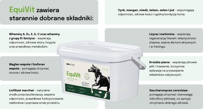 Lab-v EquiVit - dieetvoer voor paarden, ondersteunt immuniteit en gewrichten 2kg 