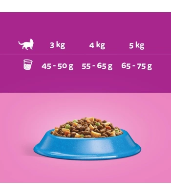 WHISKAS Adult 7 kg - droogvoer voor volwassen katten, met heerlijke tonijn