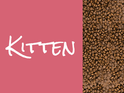 JOSERA JosiCat Kat 10kg