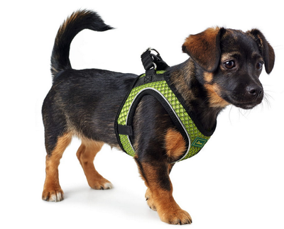 Hunter Hilo Comfort Hondenharnas Lime Groen Maat M 