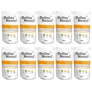 Dolina Noteci Premium Eend met Pompoen 10x150g