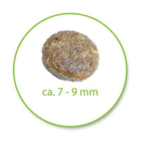 HappyDog Mini Volwassen 4kg