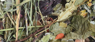 KORONA NATURY Natural-Vit voeding voor cavia's 750g