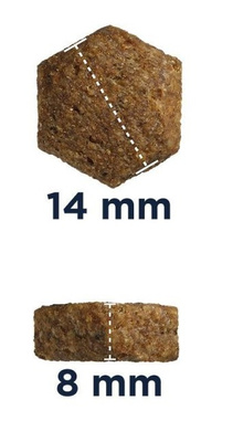 Eukanuba Active Adult Medium Breed Chicken 15kg + GRATIS een verrassing voor je hond!