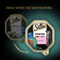 SHEBA Finesse tray 85 g - volledig natvoer voor volwassen katten, met zalm, in pate