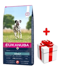 Eukanuba Adult Large Salmon&Barley 12kg + GRATIS een verrassing voor je hond!