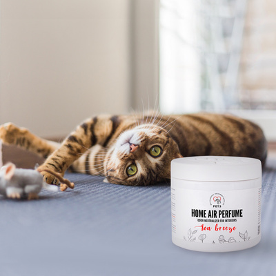 HUISDIEREN LUCHTGEURSENSOR NEUTRALIZER met zeebriesgeur 170g