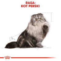 ROYAL CANIN Persian Adult 400g 