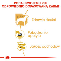 ROYAL CANIN Yorkshire Terrier Adult 12x85g