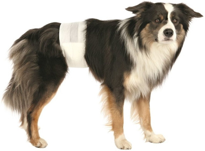 Trixie Luiers voor Volwassen Honden M-L 46-60cm 12st