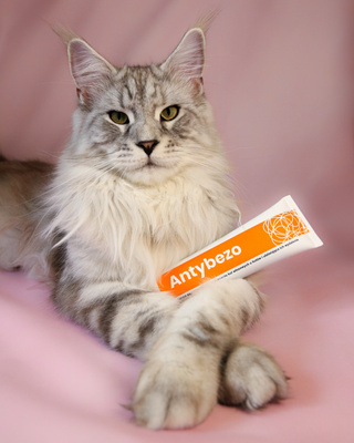 Lab-v Antibezo - pasta om het uitdrijven van haarballen uit het spijsverteringskanaal van de kat te vergemakkelijken en te voorkomen 100 g