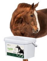 Lab-v EquiVit - dieetvoer voor paarden, ondersteunt immuniteit en gewrichten 2kg 