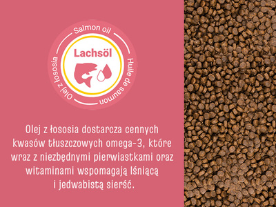 JOSERA JosiCat Kat 10kg