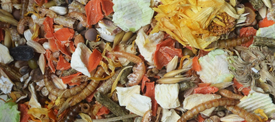 KORONA NATURY Natural-Vit hamstervoer 750g