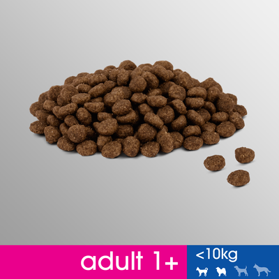 PERFECT FIT Adult 1+ Kleine rassen met kip 6kg