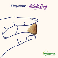 VETOQUINOL Flexadin Volwassen Hond 60 grepen