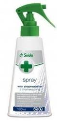 Laboratorium DermaPharm Dr Seidel Chloorhexidine Spray 100ml