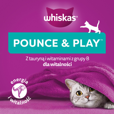 WHISKAS Energie en Vitaliteit 45g kattensnoepje, met kip