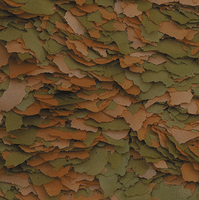 Tropical Cichlide Kleur XXL 1000ml