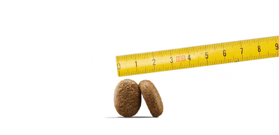 JOSERA Volwassen Optiness 2x12,5kg